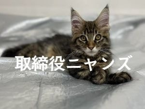 IMIボイストレーニング・ボーカルスクール大阪校迦音取締役ニャンズ