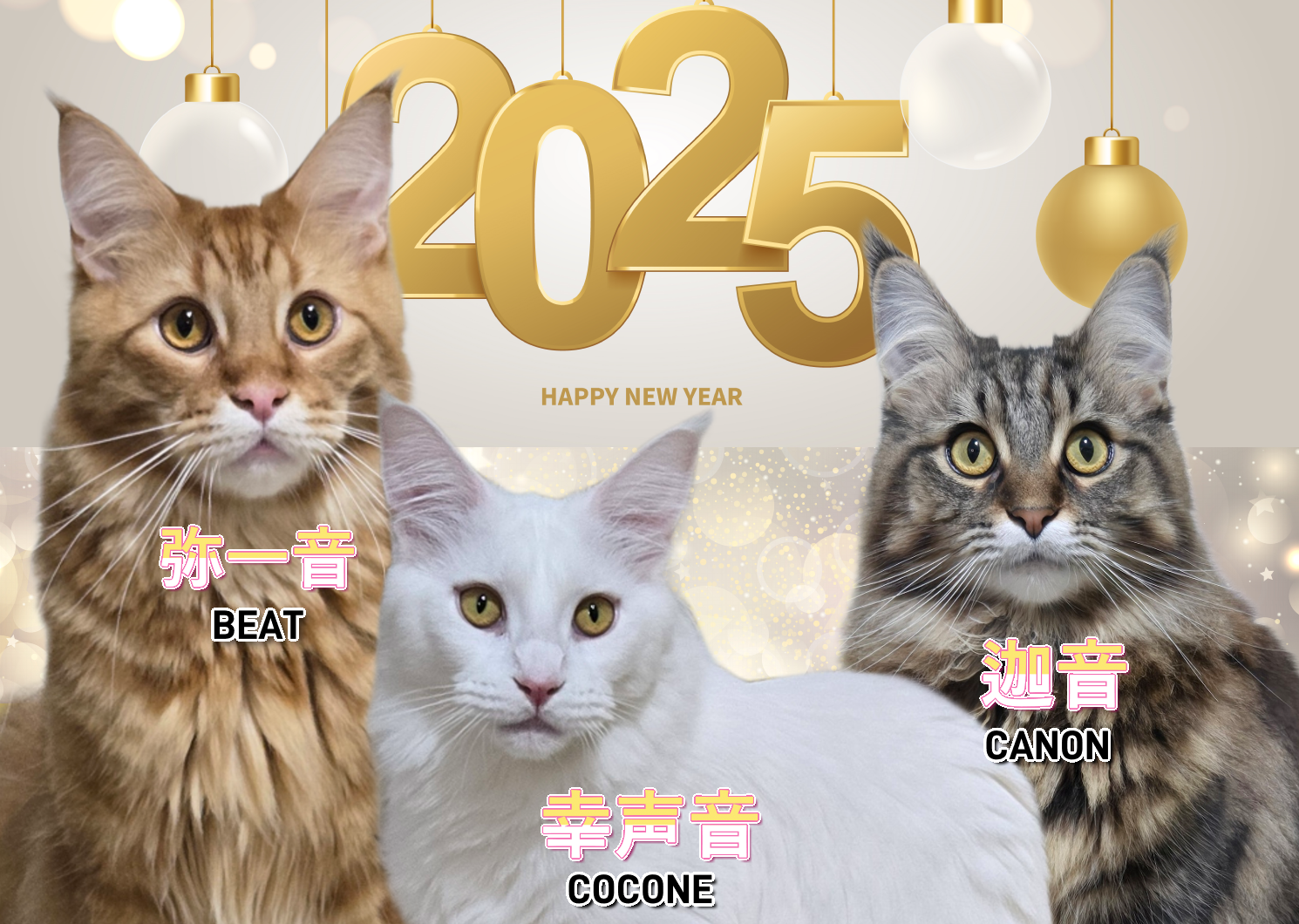 取締役ニャンズ